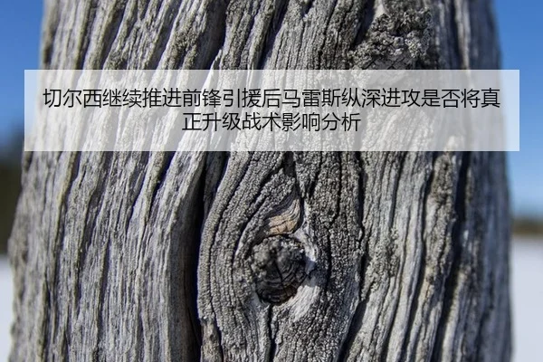 qie-er-xi-ji-xu-tui-jin-qian-feng-yin-yuan-hou-ma-lei-si-zong-shen-jin-gong-shi-fou-jiang-zhen-zheng-sheng-ji-zhan-shu-1-207.jpg