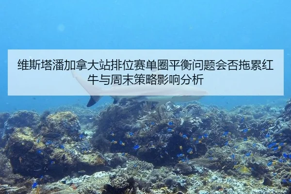 wei-si-ta-pan-jia-na-da-zhan-pai-wei-sai-dan-quan-ping-heng-wen-ti-hui-fou-tuo-lei-hong-niu-yu-zhou-mo-ce-lve-ying-1-933.jpg